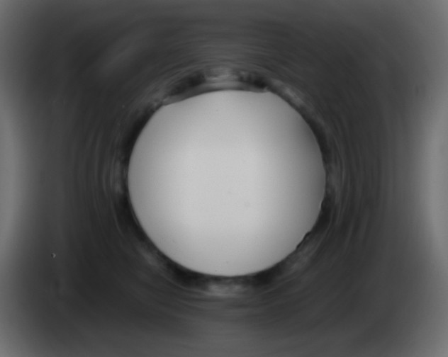 X0000083060470200703022138