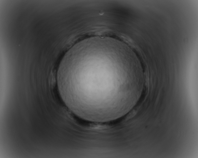 X0000083060471200703022138