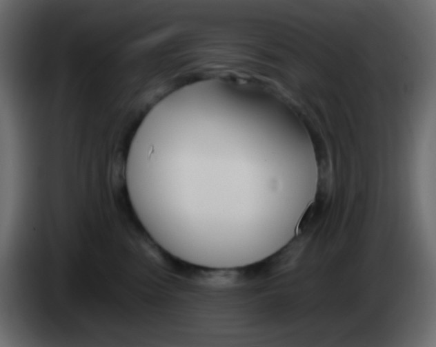 X0000083060474200703022138