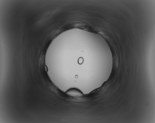 X0000083060475200703022138