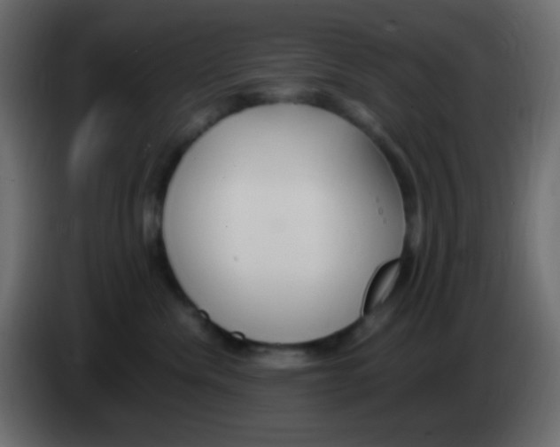 X0000083060476200703022138