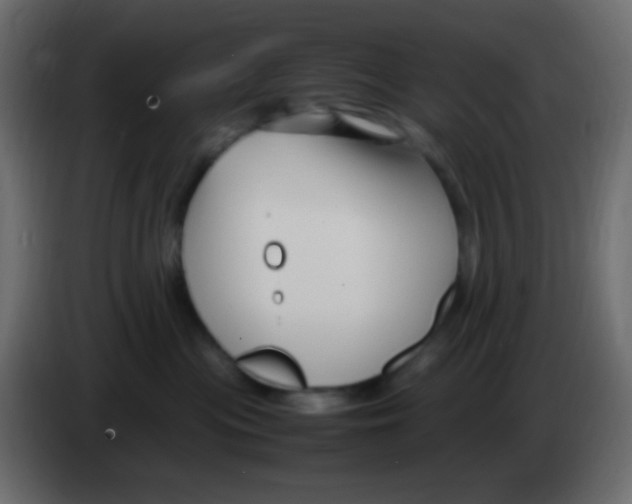 X0000083060477200703022138