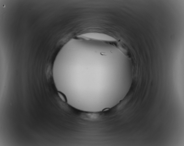 X0000083060478200703022138