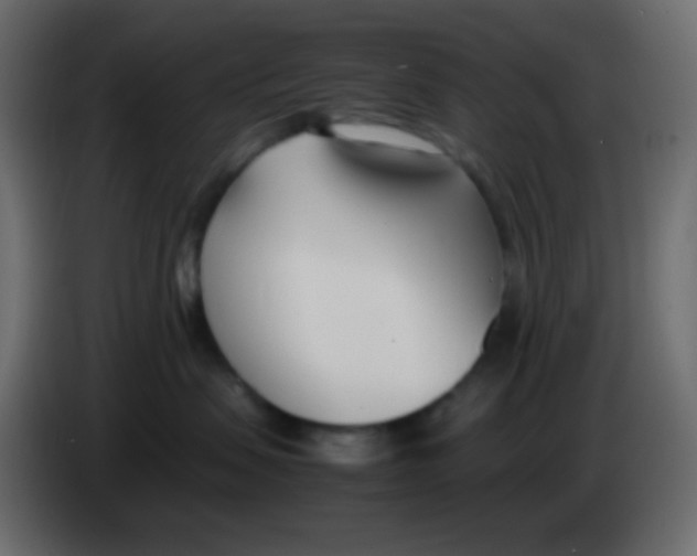 X0000083060479200703022138