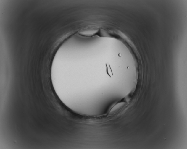 X0000083060481200703022137