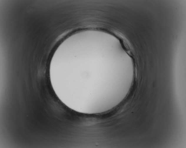 X0000083060483200703022137