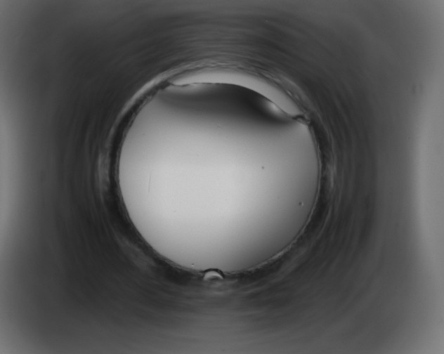 X0000083060484200703022137