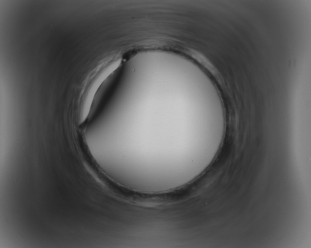 X0000083060485200703022137