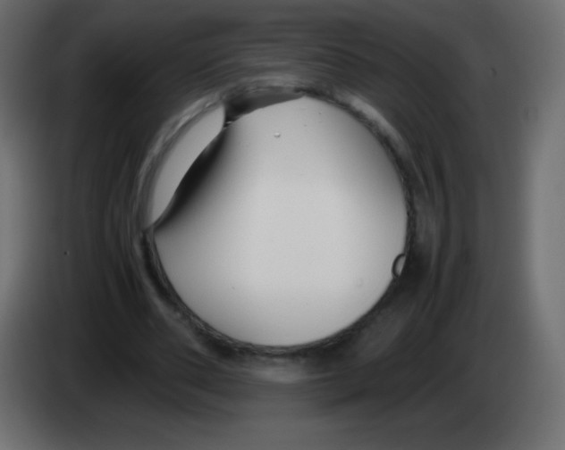 X0000083060486200703022137