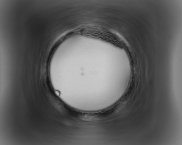 X0000083060487200703022137