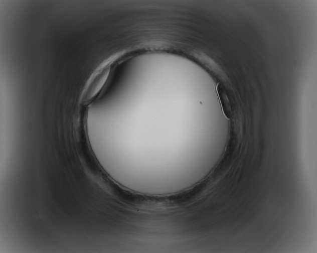 X0000083060488200703022137