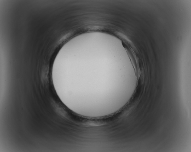 X0000083060490200703022137