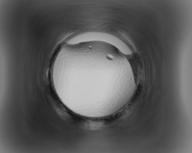 X0000083060491200703022137