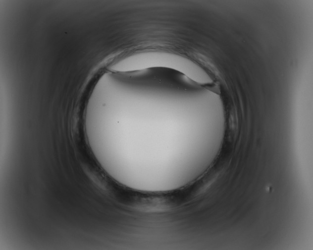 X0000083060492200703022137