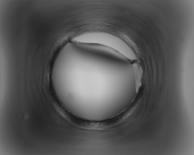 X0000083060493200703022137