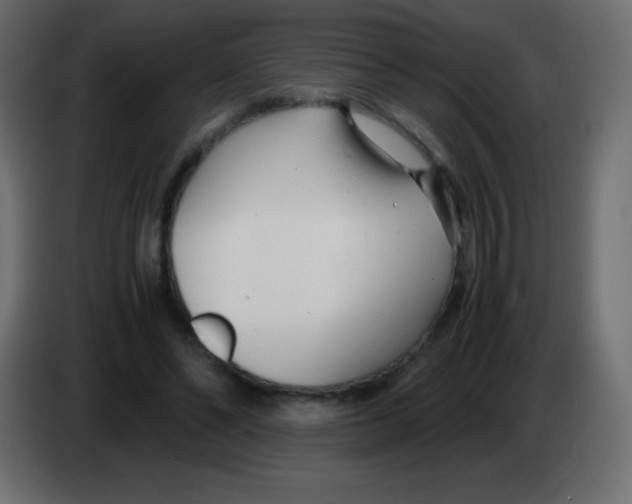 X0000083060494200703022137