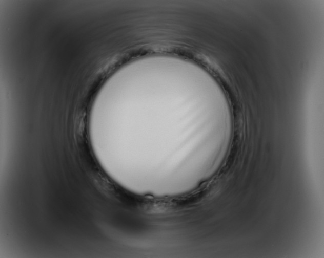 X0000083060495200703022137