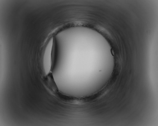 X0000083060496200703022137