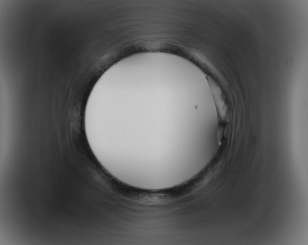 X0000083060497200703022137