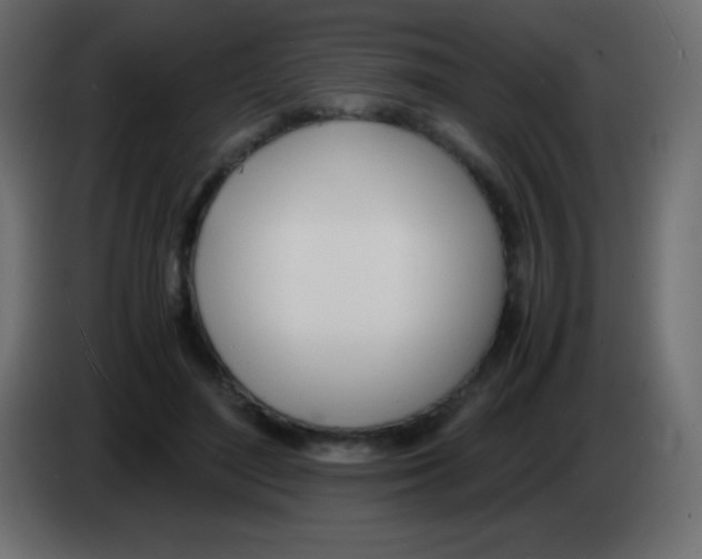 X0000083060500200703022137