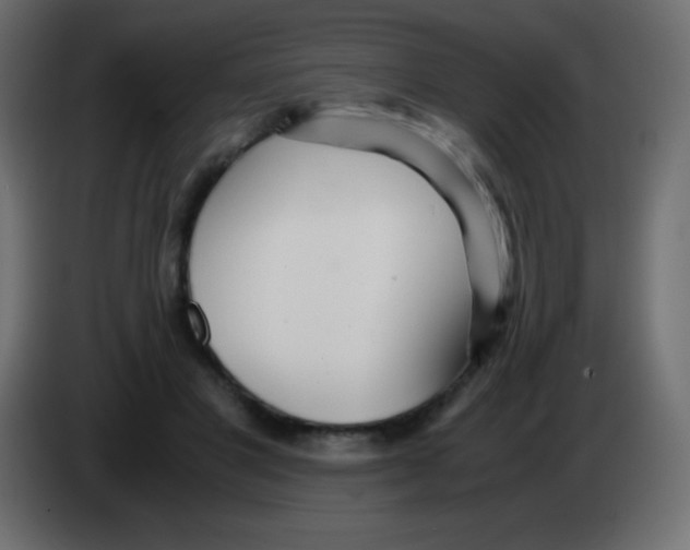 X0000083060501200703022137