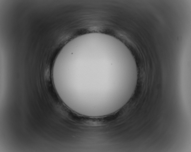 X0000083060502200703022137