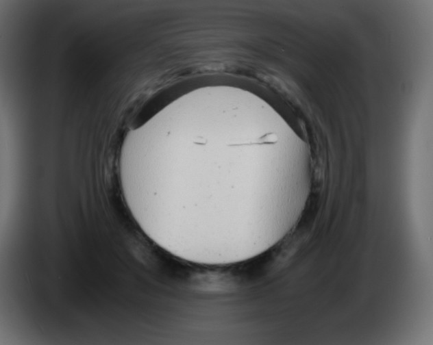 X0000083060503200703022137