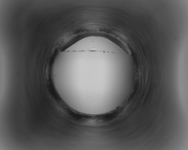 X0000083060504200703022137