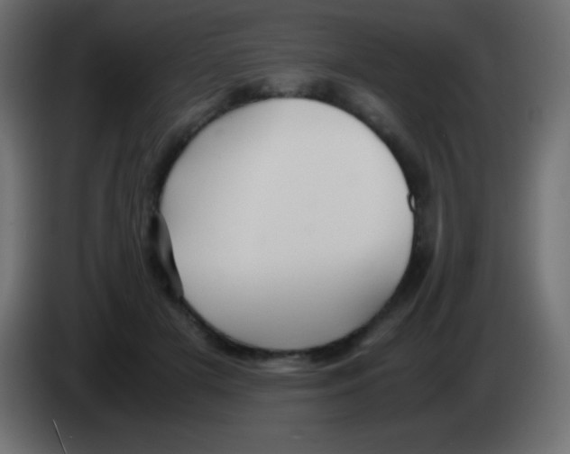 X0000083060505200703022137