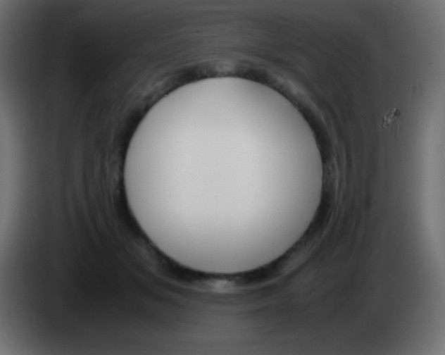 X0000083060509200703022137