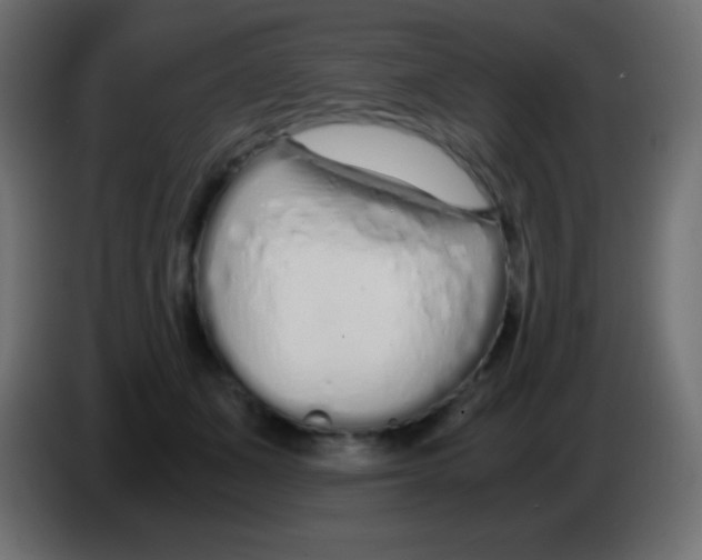 X0000083060511200703022137