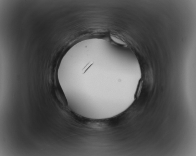 X0000083060512200703022137