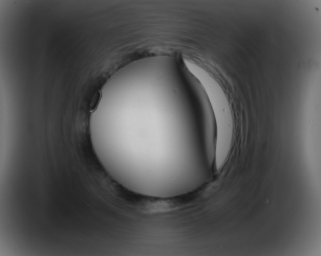 X0000083060513200703022137