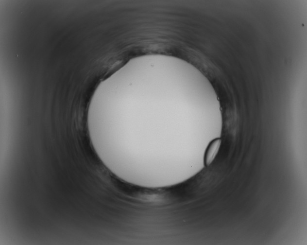 X0000083060514200703022137