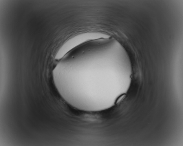 X0000083060515200703022137