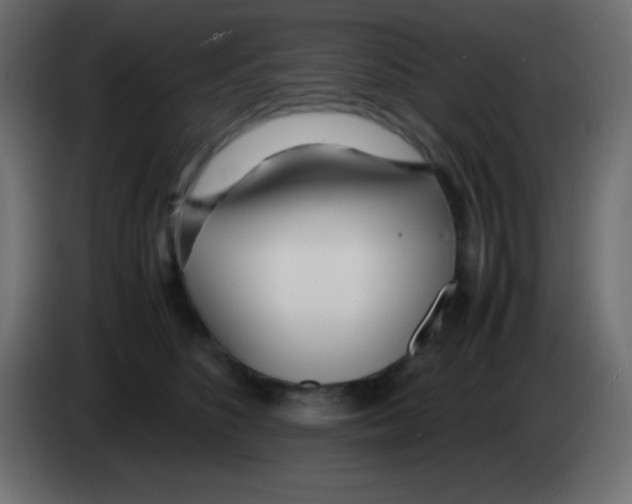 X0000083060516200703022137