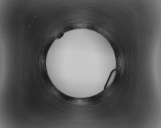 X0000083060522200703022137