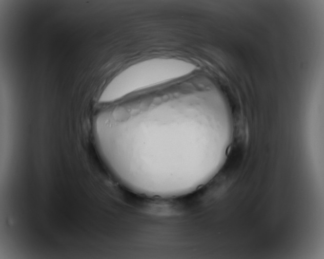 X0000083060523200703022137