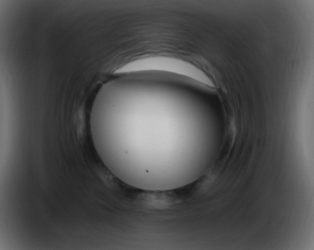 X0000083060524200703022137