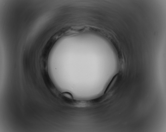 X0000083060527200703022137