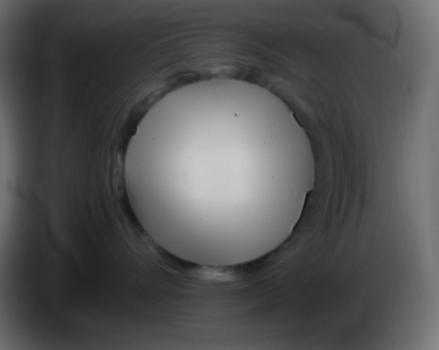 X0000083060528200703022137