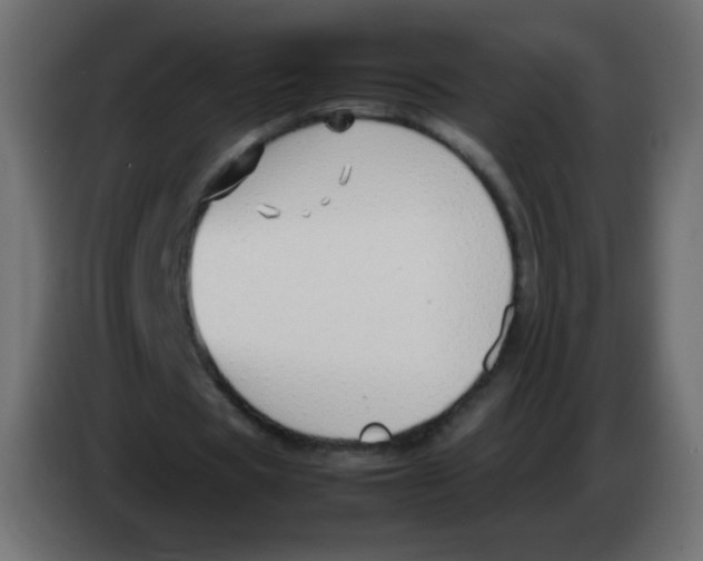 X0000083060529200703022135