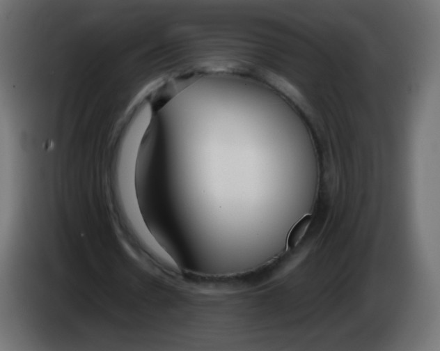 X0000083060530200703022135