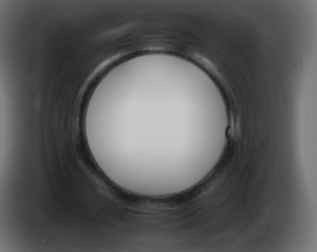 X0000083060531200703022135