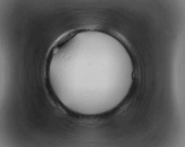 X0000083060532200703022136