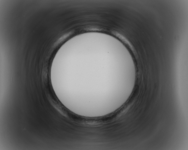 X0000083060533200703022136