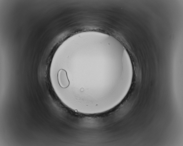 X0000083060534200703022136