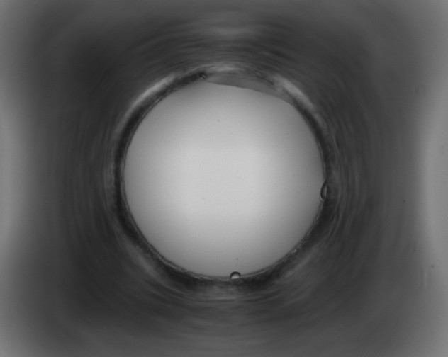 X0000083060535200703022136