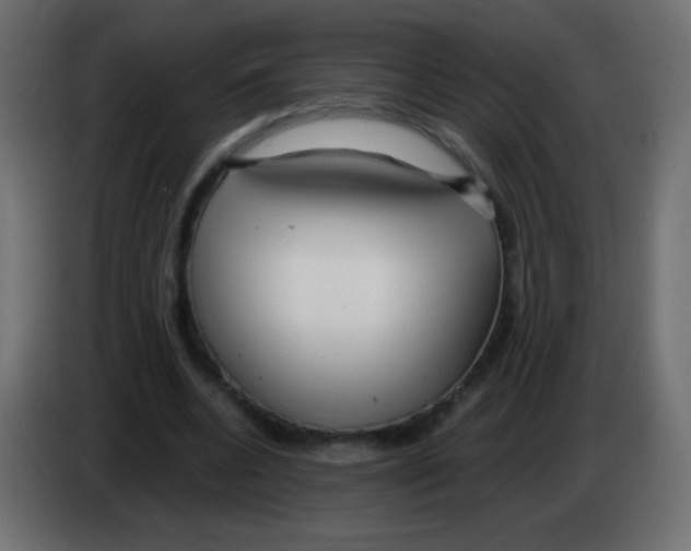 X0000083060536200703022136