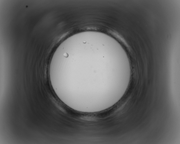 X0000083060537200703022136